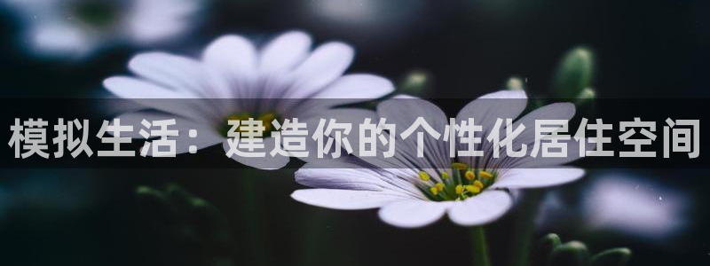 78mapp威九國際官網(wǎng)版