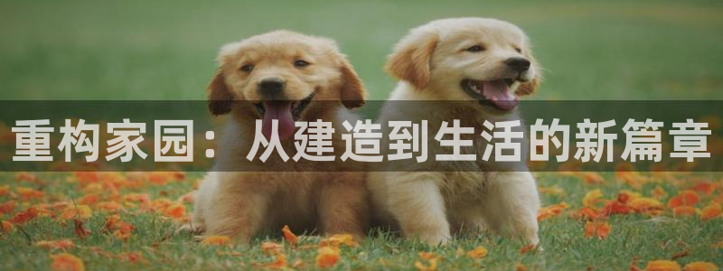 威九國(guó)際網(wǎng)站進(jìn)入AB,AB