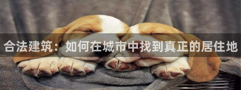 威九國際v96BET：合法建筑：如何在城市中找到真正的居住地