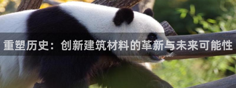 威九國(guó)際游戲app(網(wǎng)站)：重塑歷史：創(chuàng)新建筑材料的革新與未來(lái)可能性