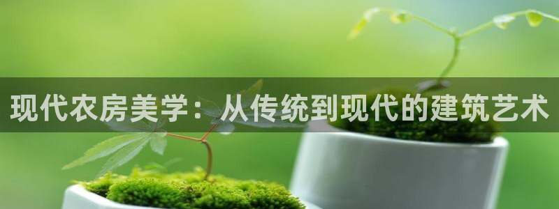 威九國際黃威尼斯