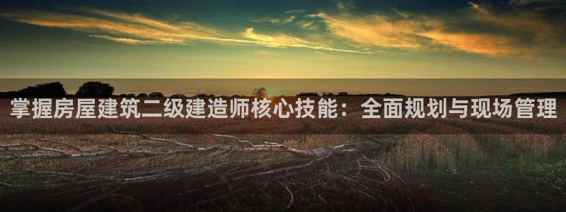 威九國際旗下藝人有誰：掌握房屋建筑二級建造師核心技能：全面規(guī)劃與現(xiàn)場管理