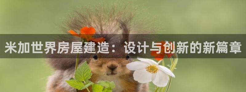 威九國(guó)際v96 bet會(huì)黑嗎