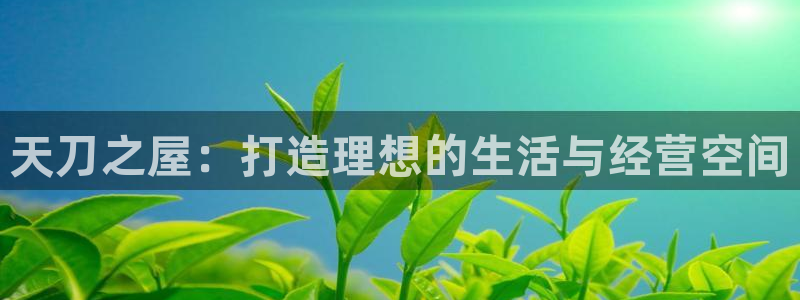 威九國際旗下藝人都有誰：天刀之屋：打造理想的生活與經(jīng)營空間