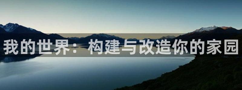 66m威九國際成長模式