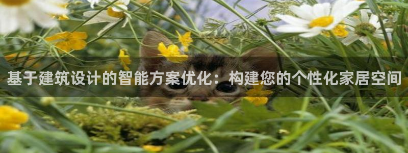 威九國際可以提現(xiàn)嗎現(xiàn)在