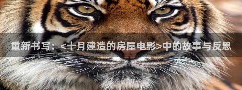 威九國(guó)際78mob游戲特色