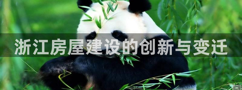 威九國(guó)際入囗