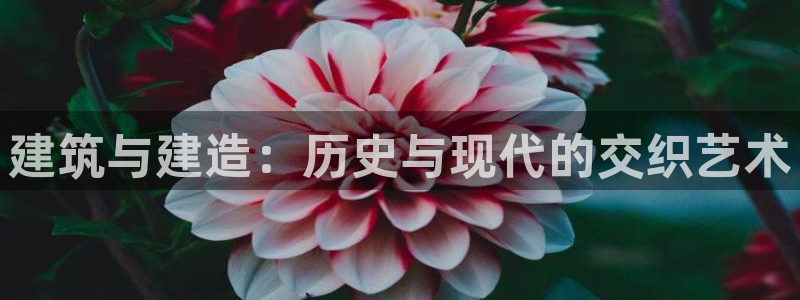 威九國際取款不到賬