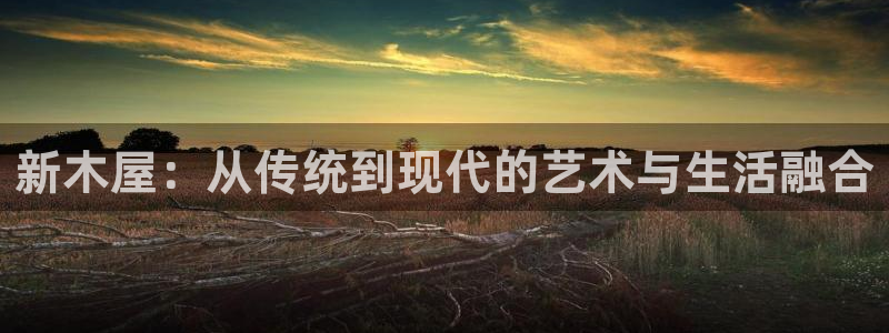 威九國(guó)際女藝人