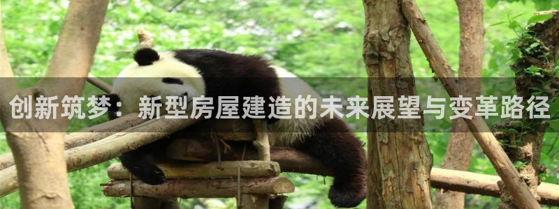 威九國際免費(fèi)v5.5.2新版本特性