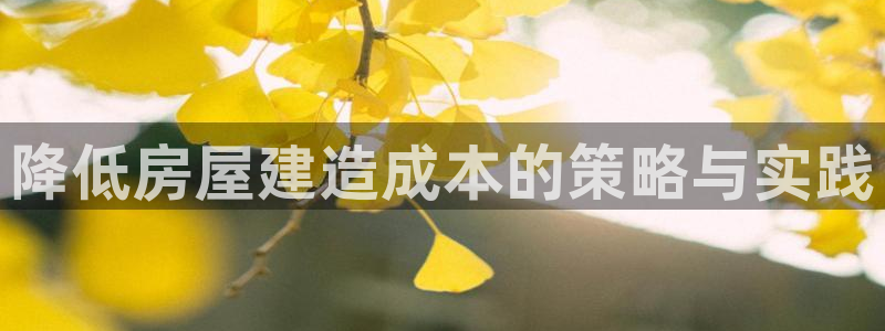 威九國際的網(wǎng)站入口在哪里