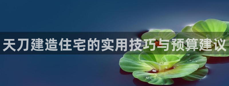 威九國際app網(wǎng)站安全嗎