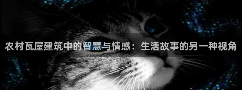 威九國(guó)際小廣告